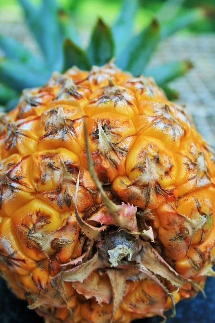 Clafoutis à l’ananas